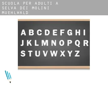 Scuola per adulti a  Selva dei Molini