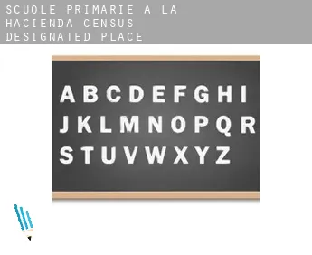 Scuole primarie a  La Hacienda