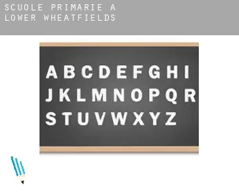 Scuole primarie a  Lower Wheatfields