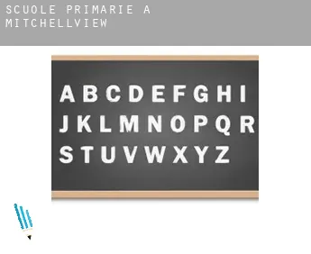 Scuole primarie a  Mitchellview