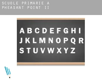 Scuole primarie a  Pheasant Point II