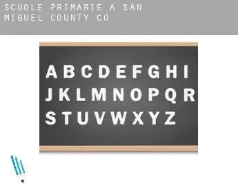 Scuole primarie a  San Miguel County