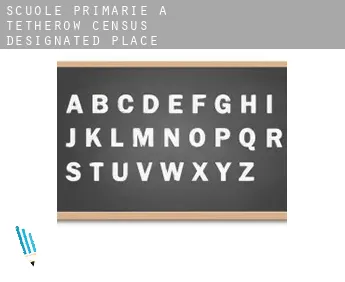 Scuole primarie a  Tetherow