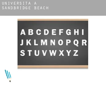 Università a  Sandbridge Beach
