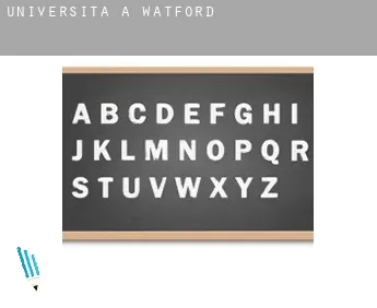 Università a  Watford