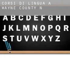 Corsi di lingua a Wayne County