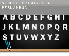 Scuole primarie a Stato di Pernambuco