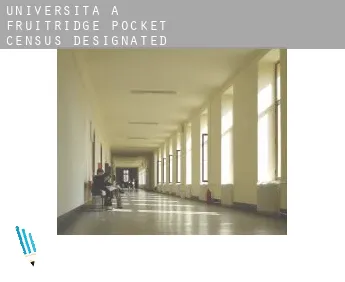Università a  Fruitridge Pocket