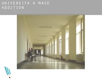 Università a  Mace Addition