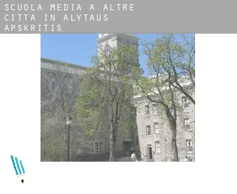 Scuola media a  Altre città in Alytaus Apskritis
