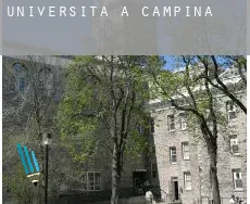 Università a  Campinas