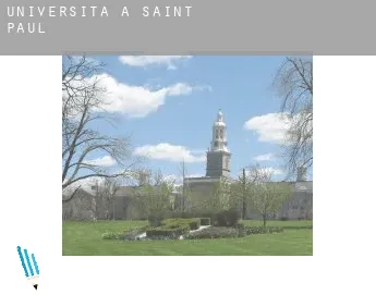 Università a  Saint Paul