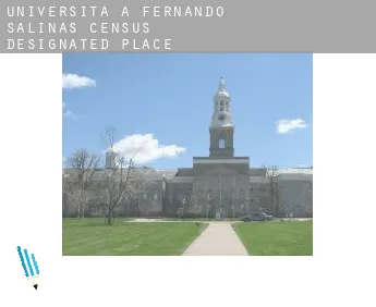 Università a  Fernando Salinas