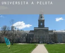 Università a  Pelotas