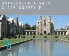 Università a  Saint Clair County