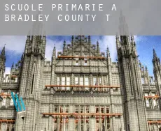 Scuole primarie a Bradley County