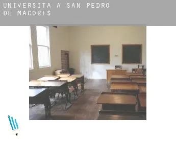 Università a  San Pedro de Macorís