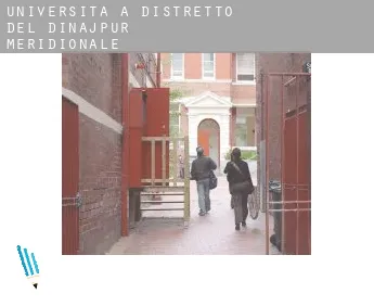 Università a  Distretto del Dinajpur Meridionale