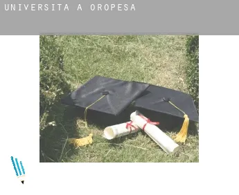 Università a  Oropesa