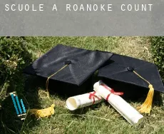 Scuole a  Roanoke County