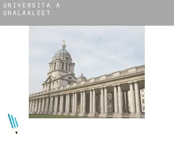 Università a  Unalakleet