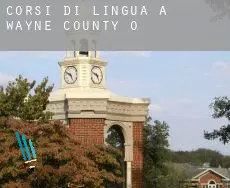 Corsi di lingua a  Wayne County