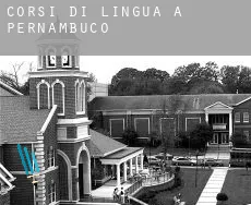 Corsi di lingua a Stato di Pernambuco