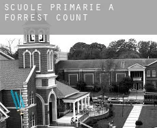 Scuole primarie a  Forrest County