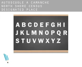 Autoscuole a  Camanche North Shore