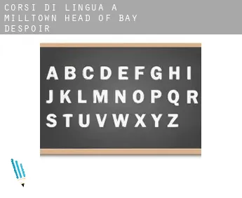 Corsi di lingua a  Milltown-Head of Bay D'Espoir