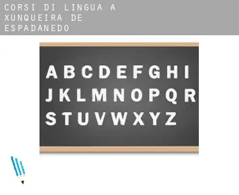 Corsi di lingua a  Xunqueira de Espadanedo
