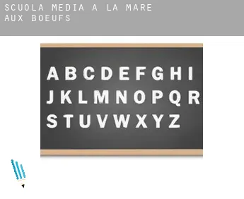 Scuola media a  La Mare-aux-Bœufs
