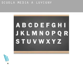Scuola media a  Luvigny