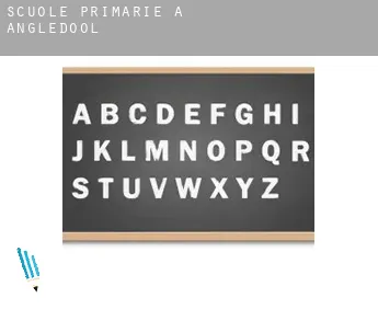 Scuole primarie a  Angledool
