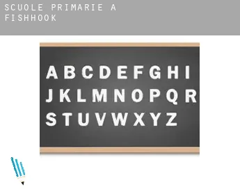 Scuole primarie a  Fishhook