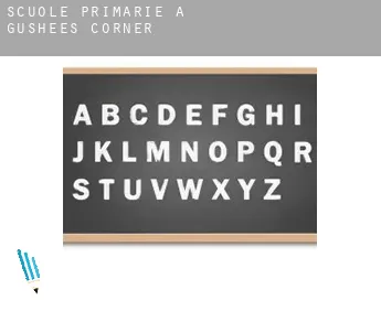Scuole primarie a  Gushees Corner