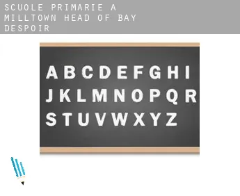 Scuole primarie a  Milltown-Head of Bay D'Espoir