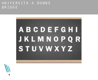 Università a  Dunns Bridge