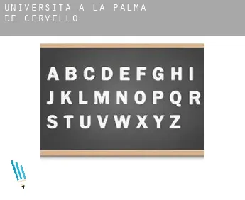 Università a la Palma de Cervelló