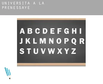 Università a  La Prénessaye