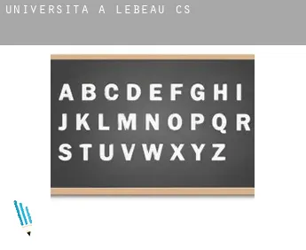 Università a  Lebeau (census area)