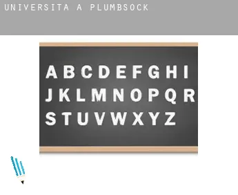 Università a  Plumbsock