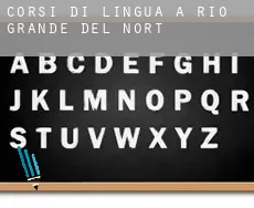 Corsi di lingua a Rio Grande do Norte