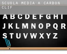 Scuola media a Carbon Cliff