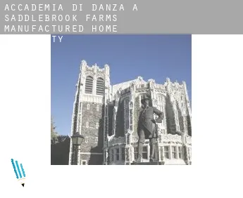 Accademia di danza a  Saddlebrook Farms Manufactured Home Community